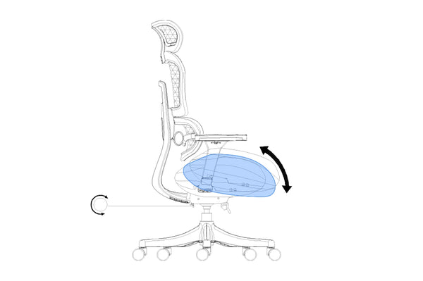 3. Bassin dynamisé