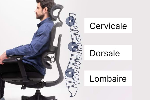 1. Pour toutes les morphologies